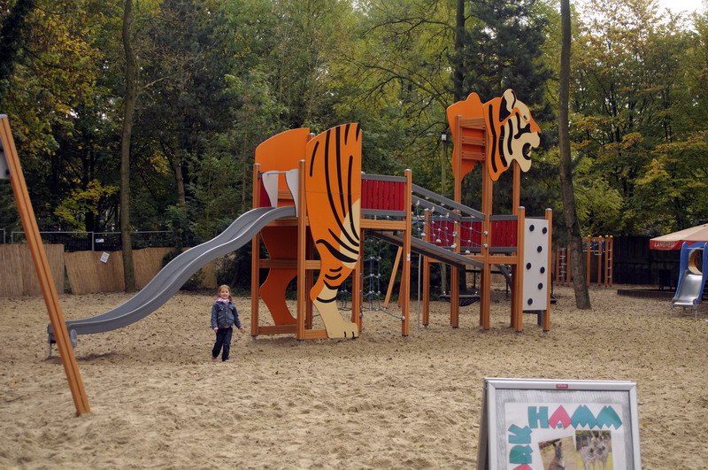 Tiger-Playground