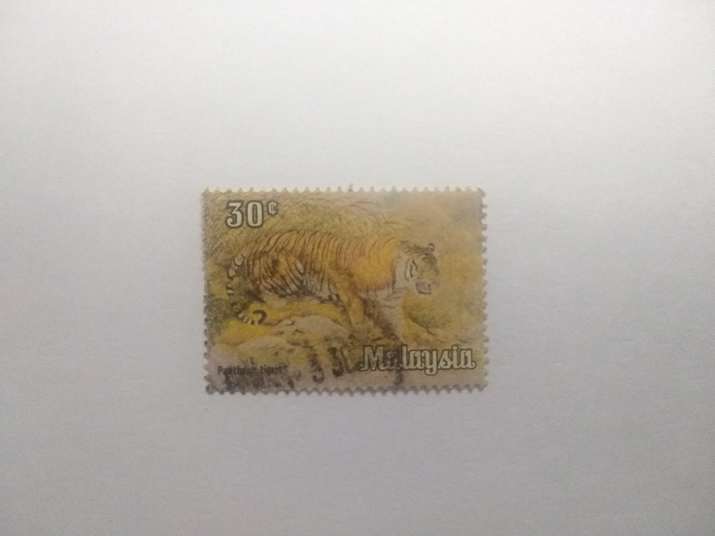 Tiger - Postage stamp Malaysia