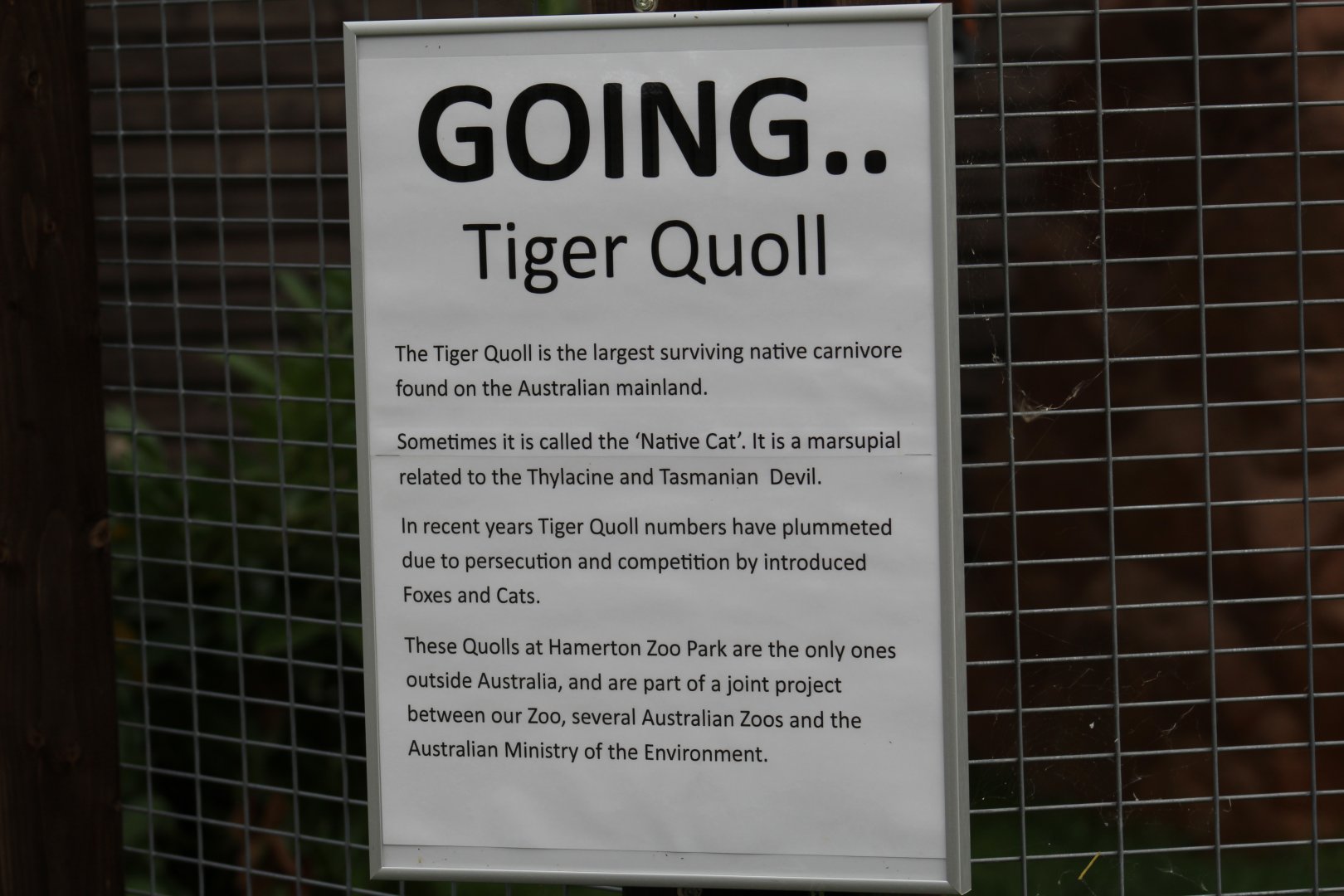 Tiger Quoll Conservation Sign