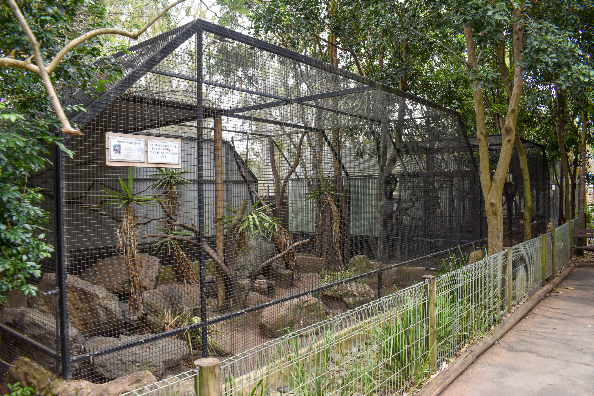 Tiger Quoll Enclosure