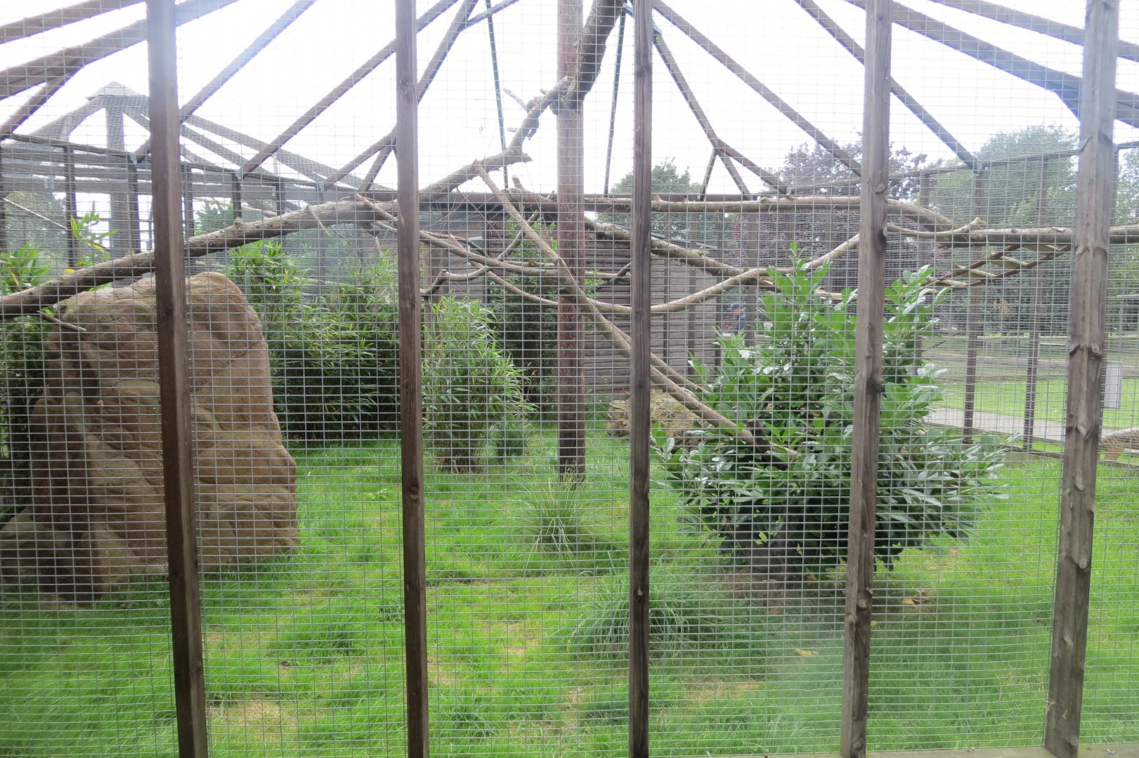 Tiger quoll exhibit 100819