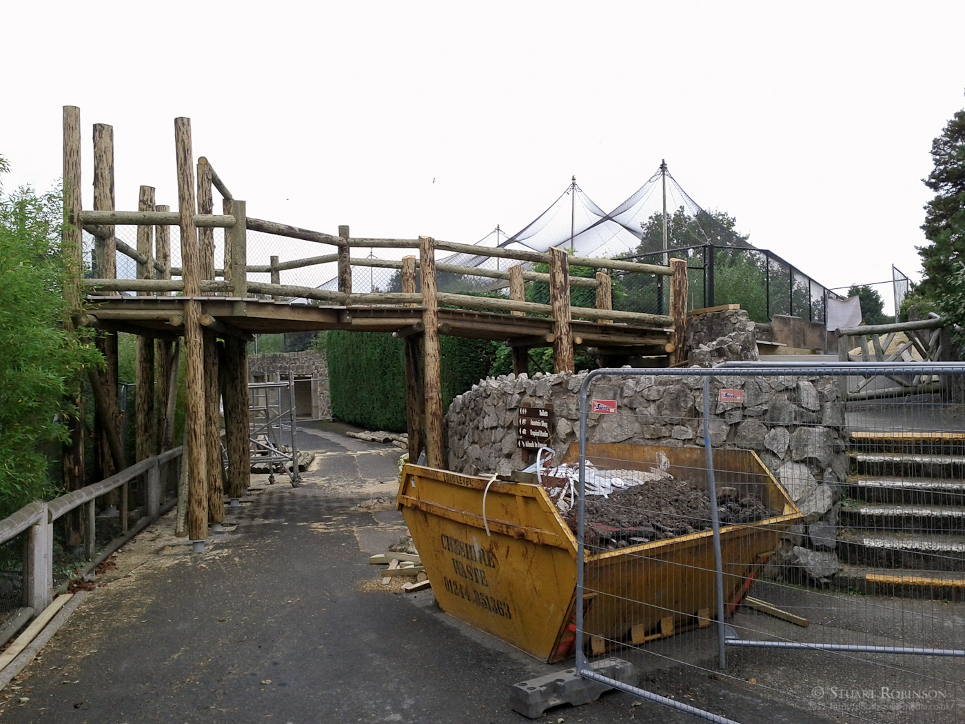 Tiger Raised Viewing Construction - 25/09/2011
