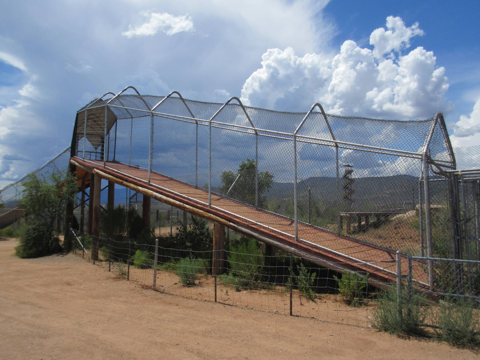 Tiger Ramp (allowing for movement between exhibits)