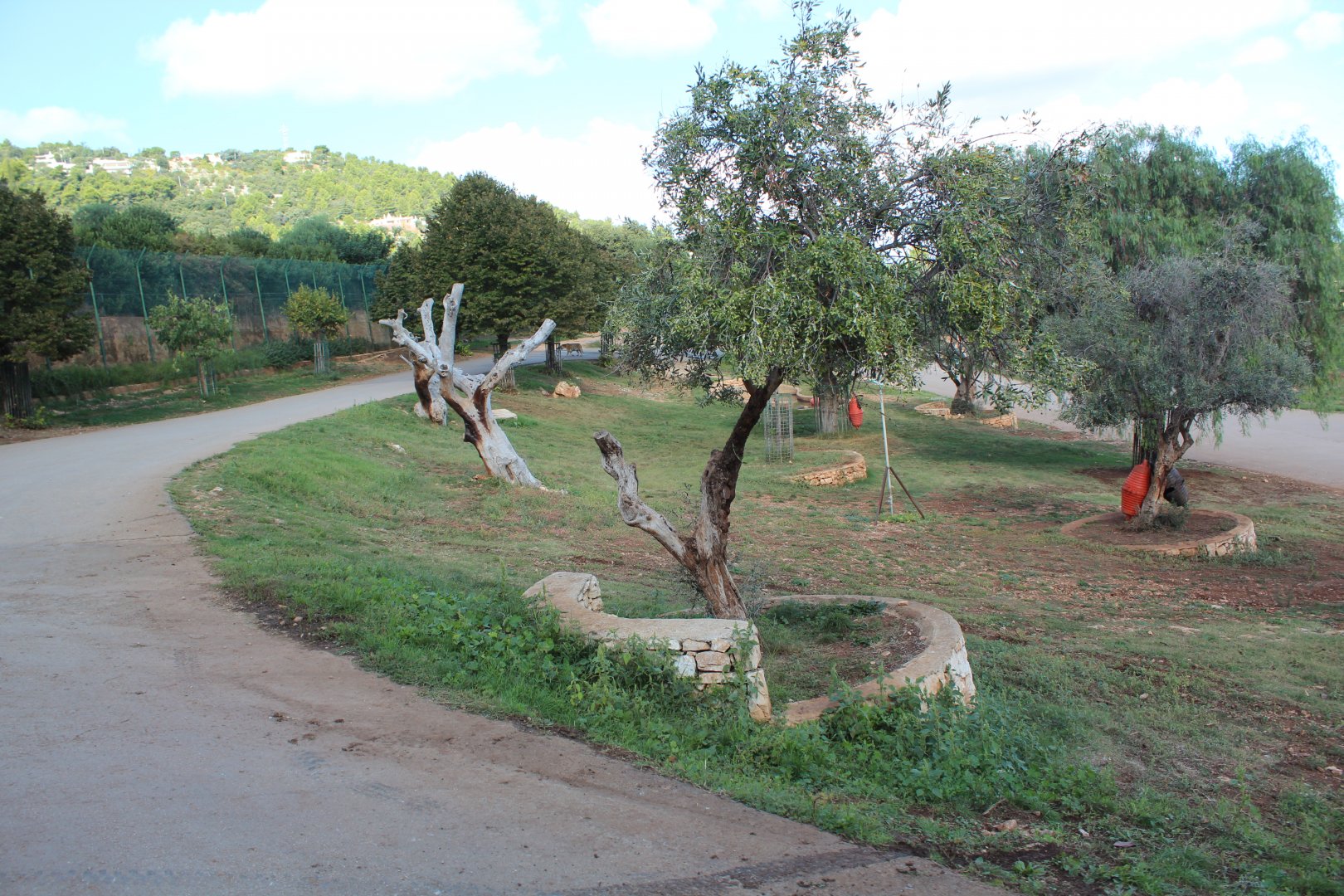 Tiger Reserve - Oct 2019