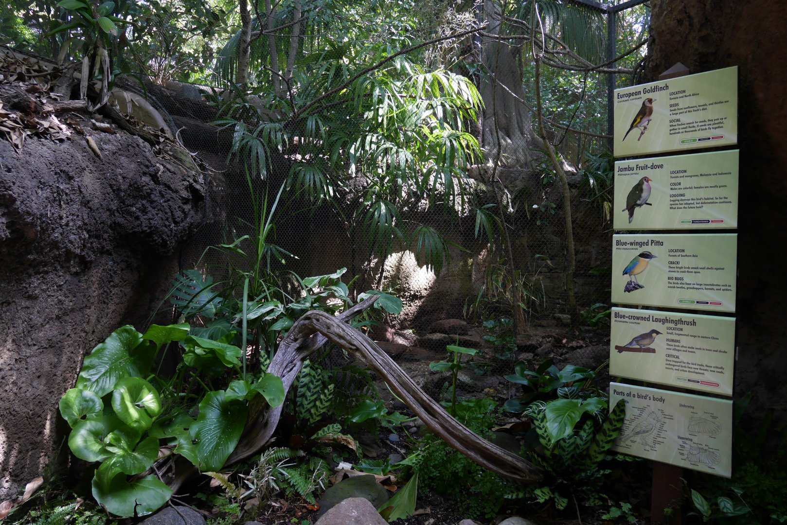 Tiger River Aviary - My First US Zoo Trip