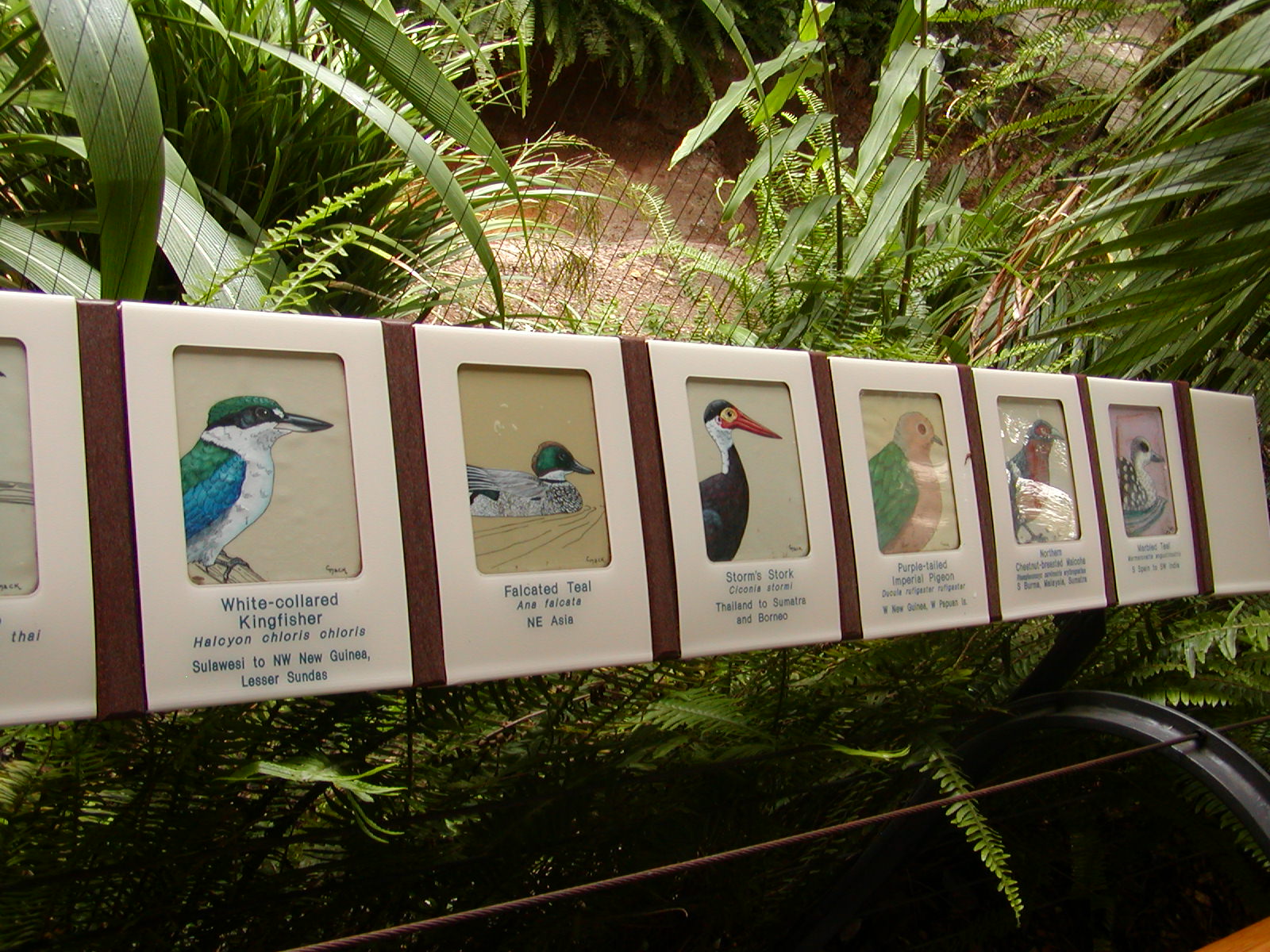 Tiger River - Marsh Aviary Signage