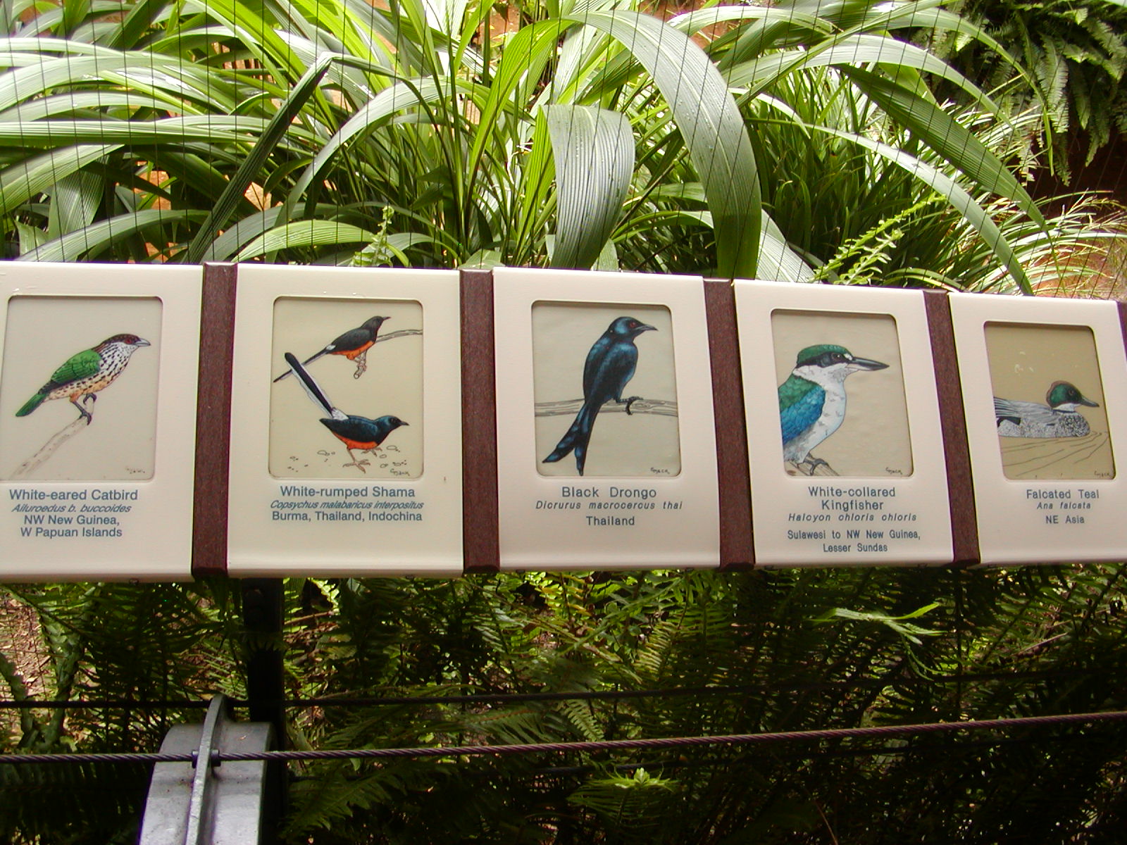 Tiger River - Marsh Aviary Signage