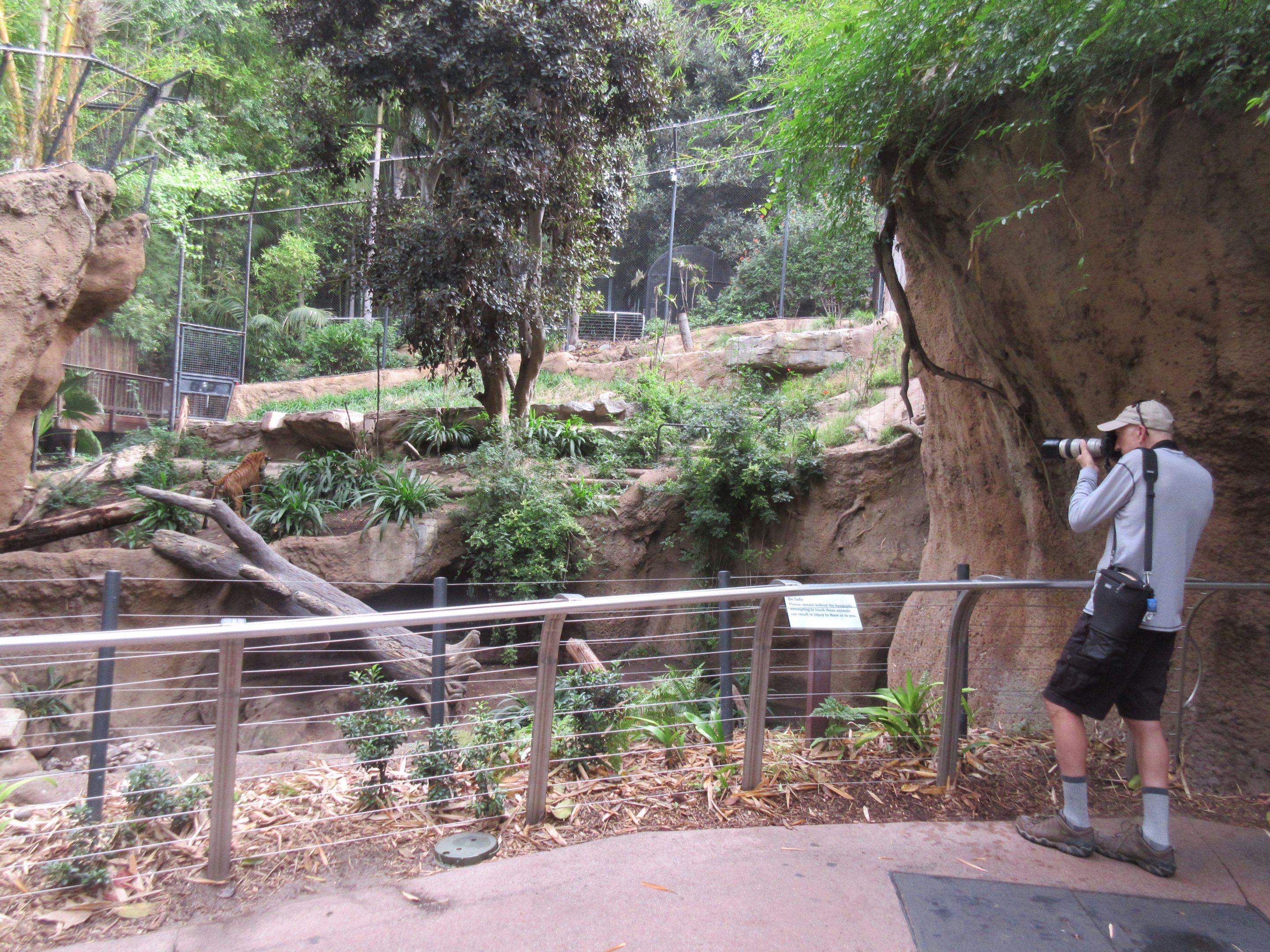 Tiger River (with a ZooChatter!)