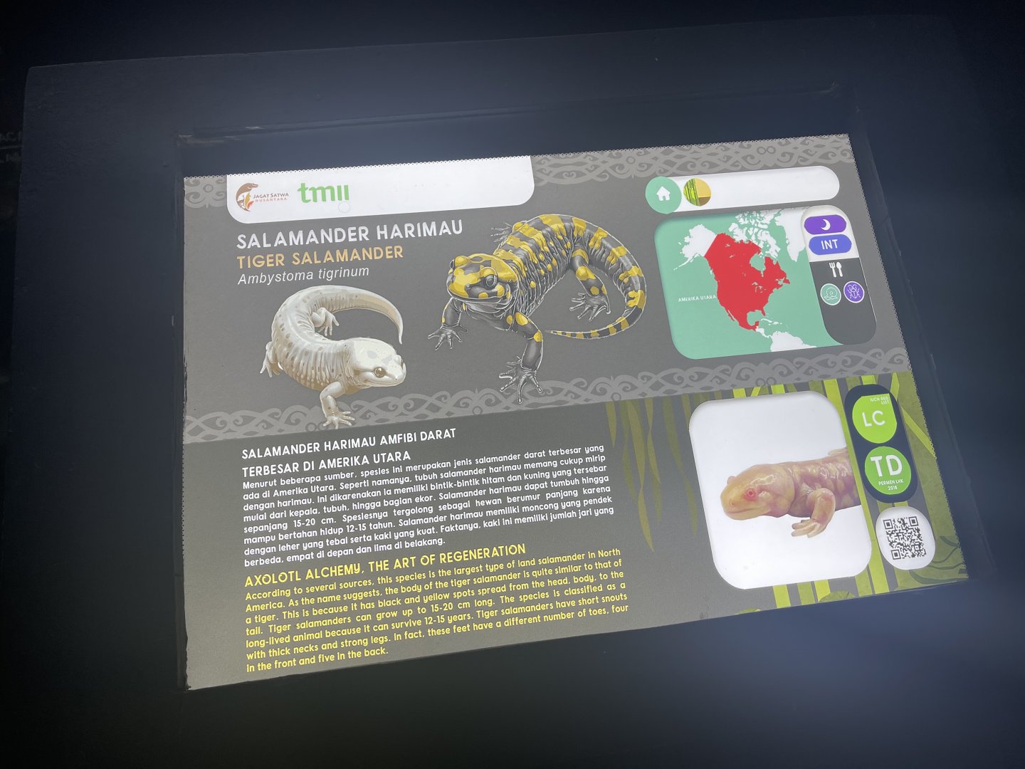 tiger salamander signage - museum komodo