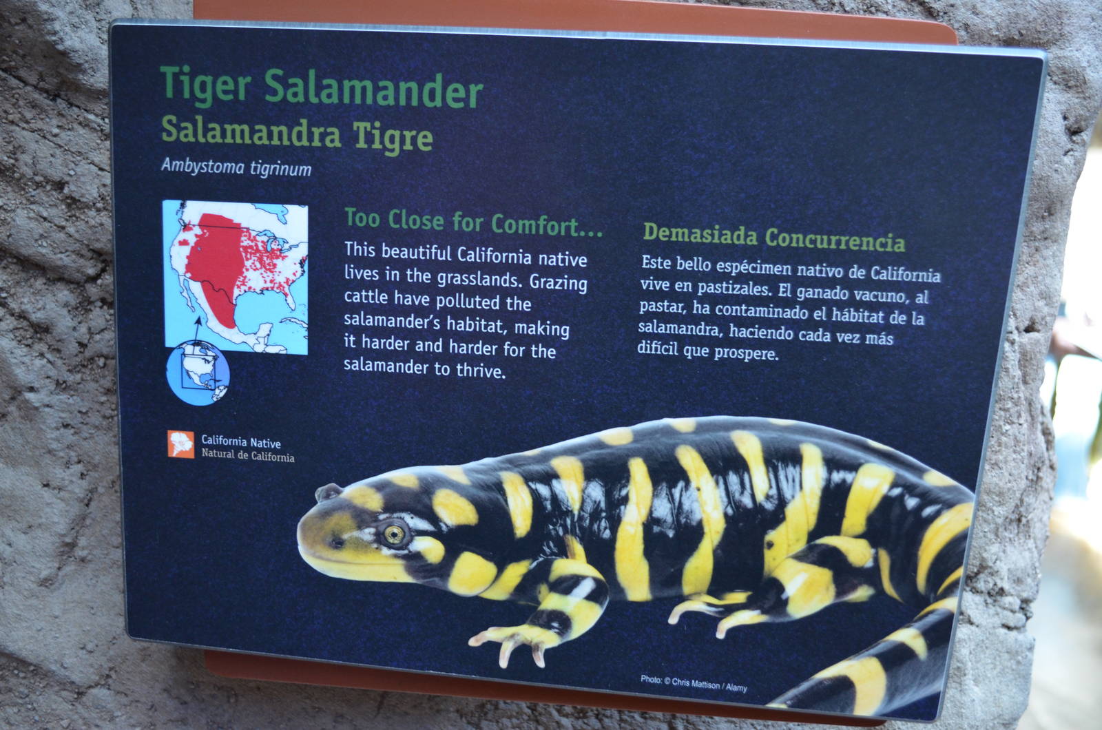 TIGER SALAMANDER SIGNAGE