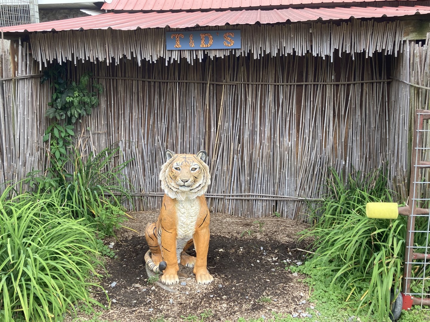 Tiger Sculpture Statue
