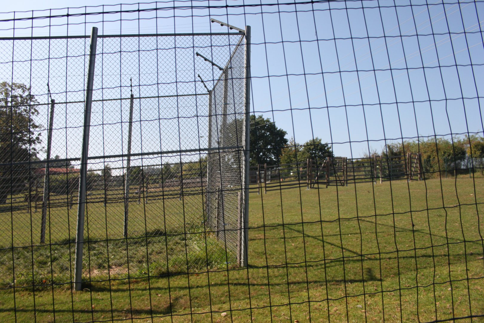 Tiger separation cage inside the deer paddock