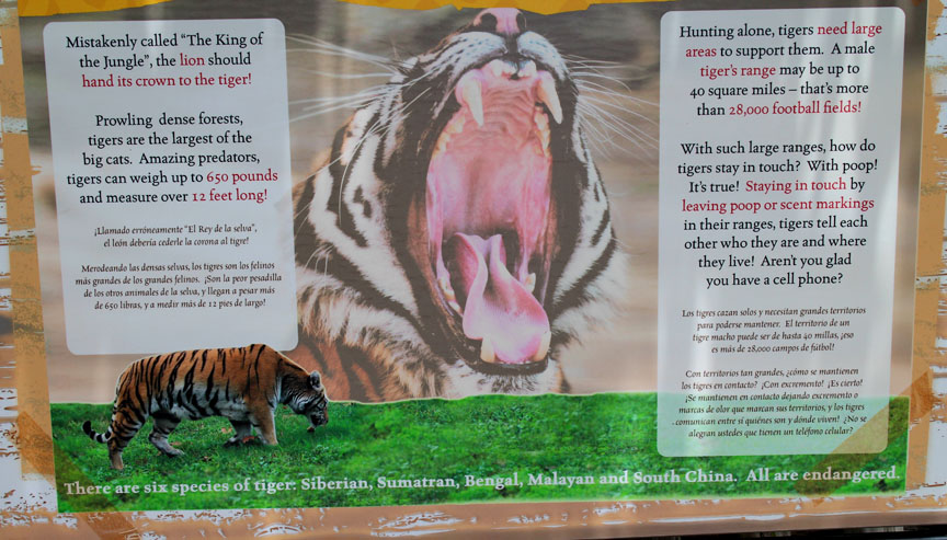 tiger sign - bad math