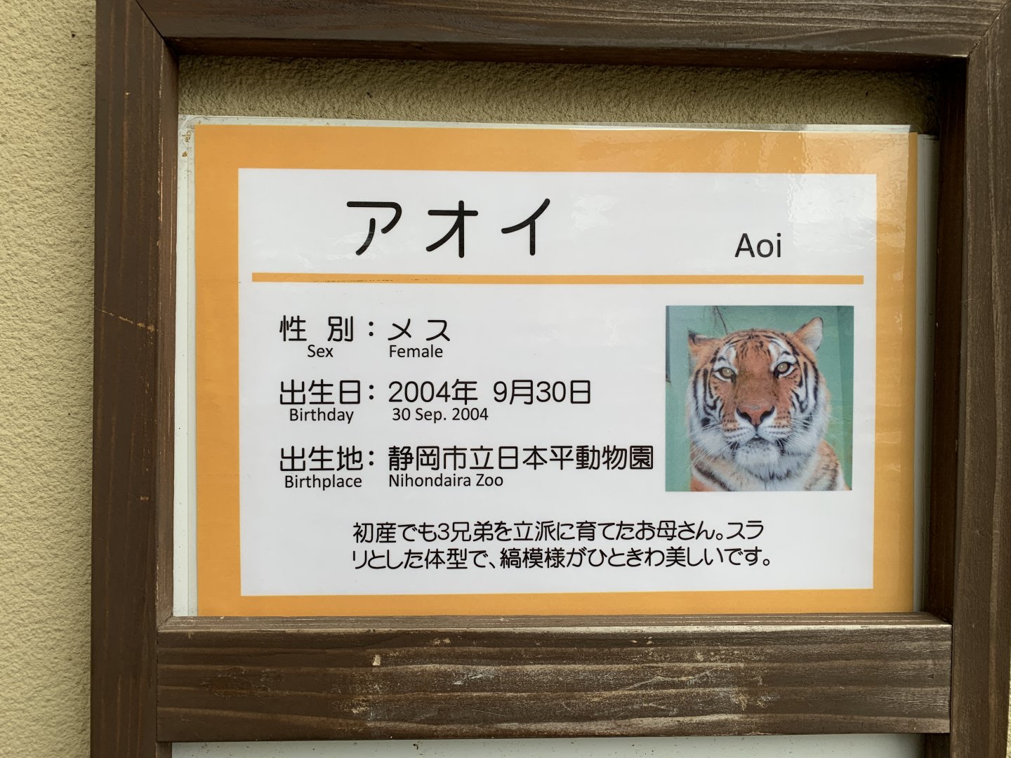 Tiger Sign