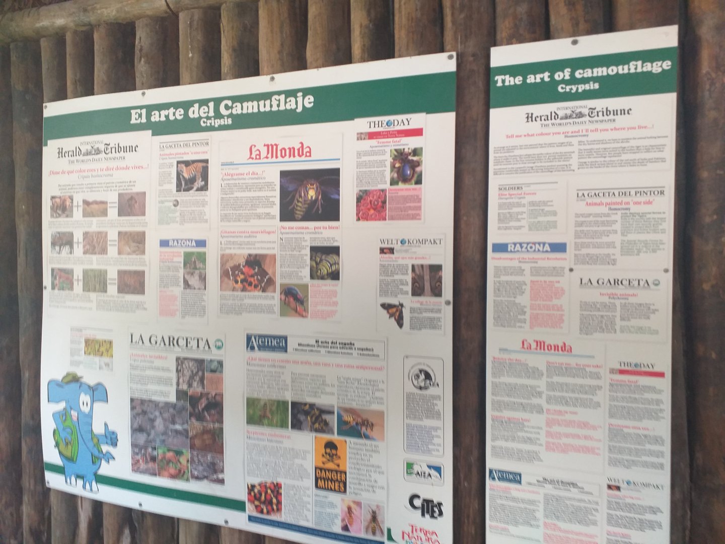 Tiger signae -TerraNatura Benidorm (2021)