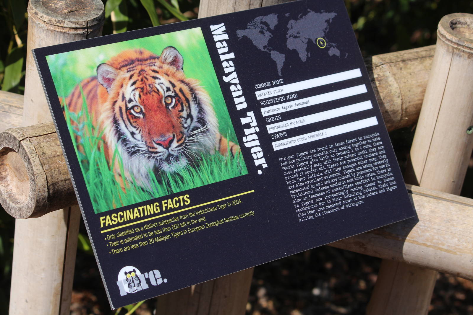 Tiger signage, April 2015