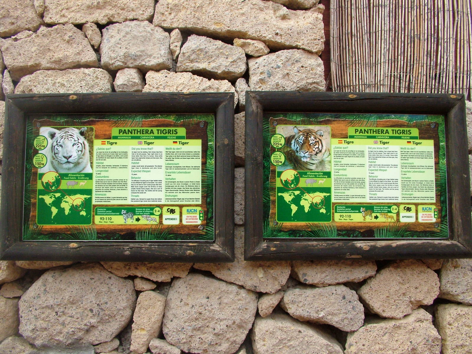 Tiger Signage at Jungle Park (Las Aguilas), 13/11/10