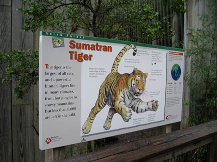Tiger Signage - Feb 2012
