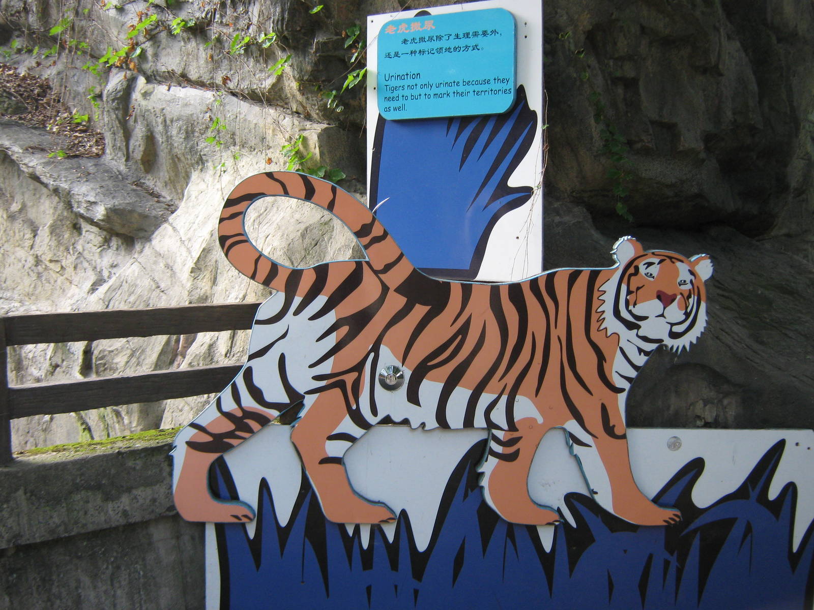 tiger signage