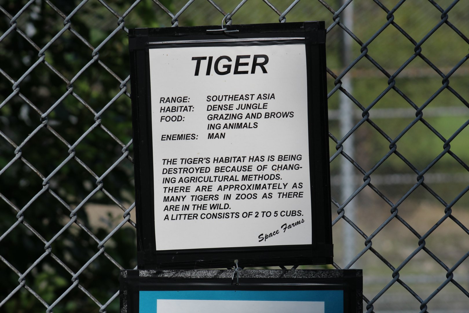 Tiger Signage