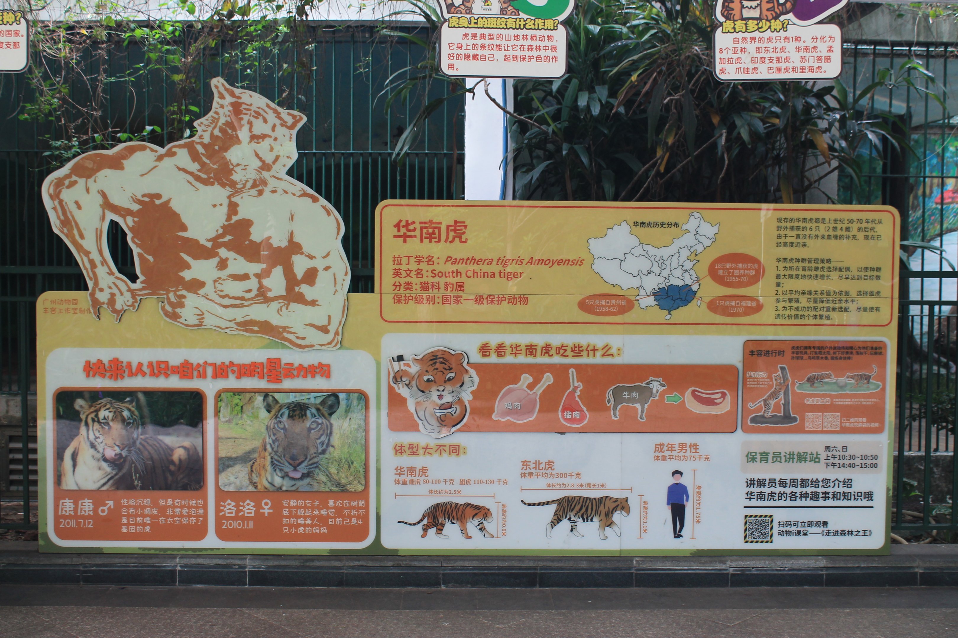 Tiger signage