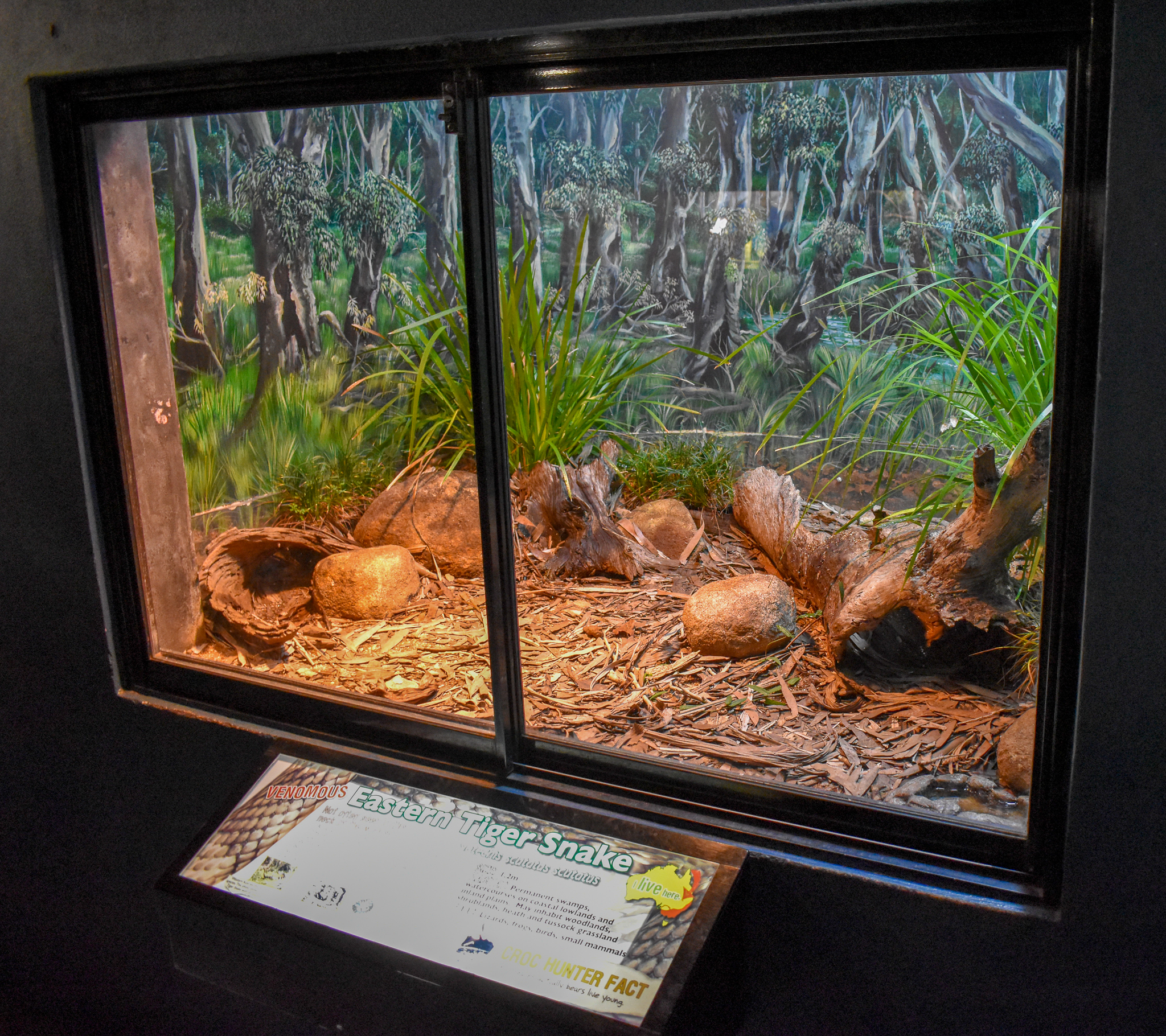 Tiger Snake Enclosure