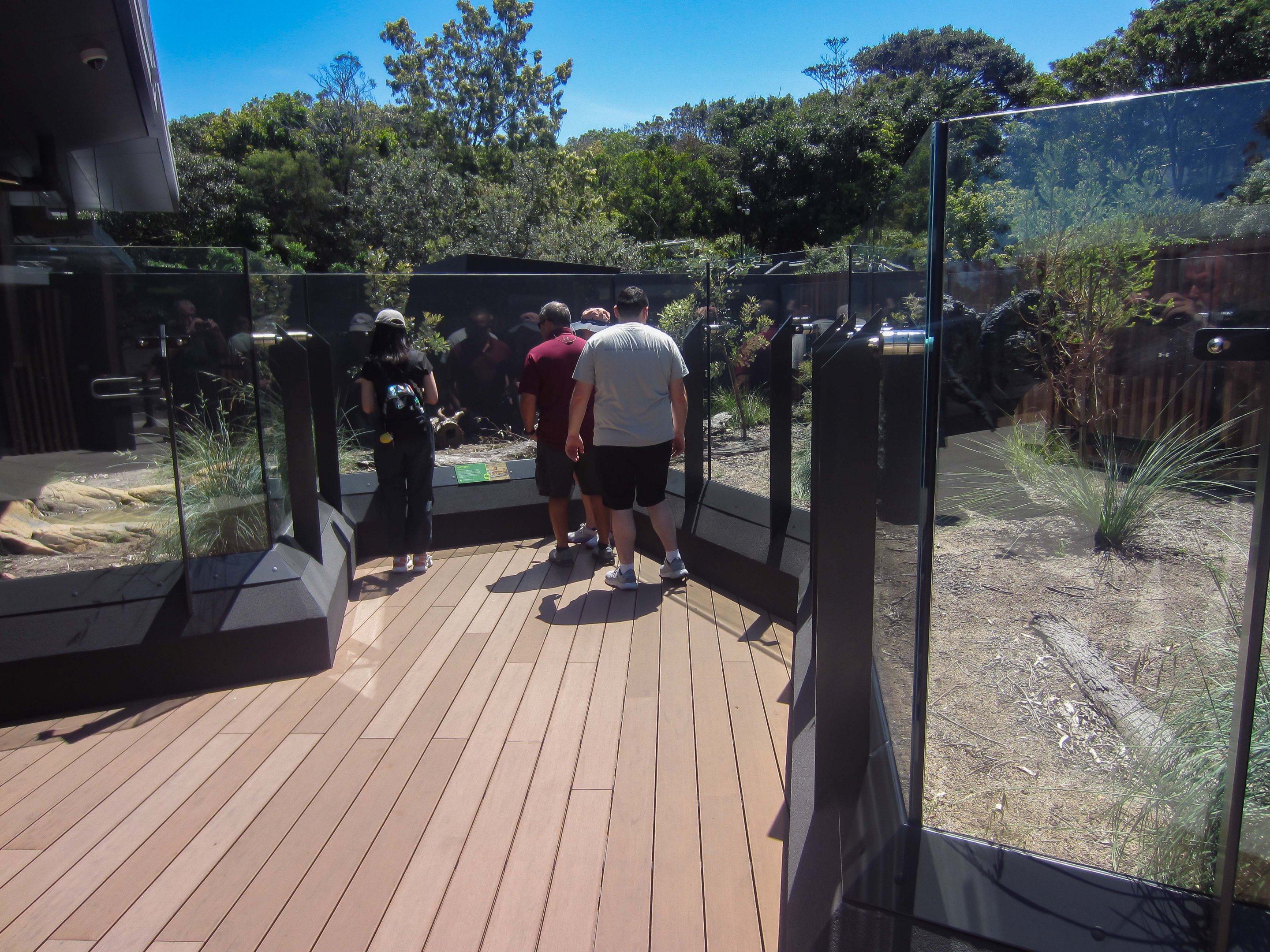 Tiger Snake enclosure