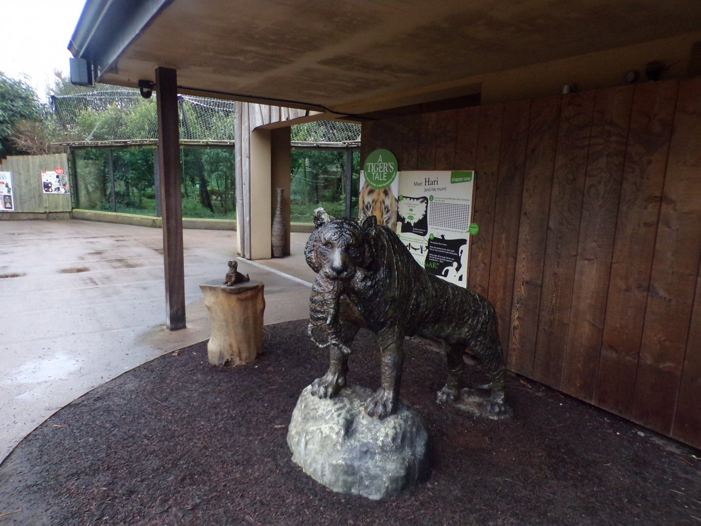 Tiger statue 11.2.25