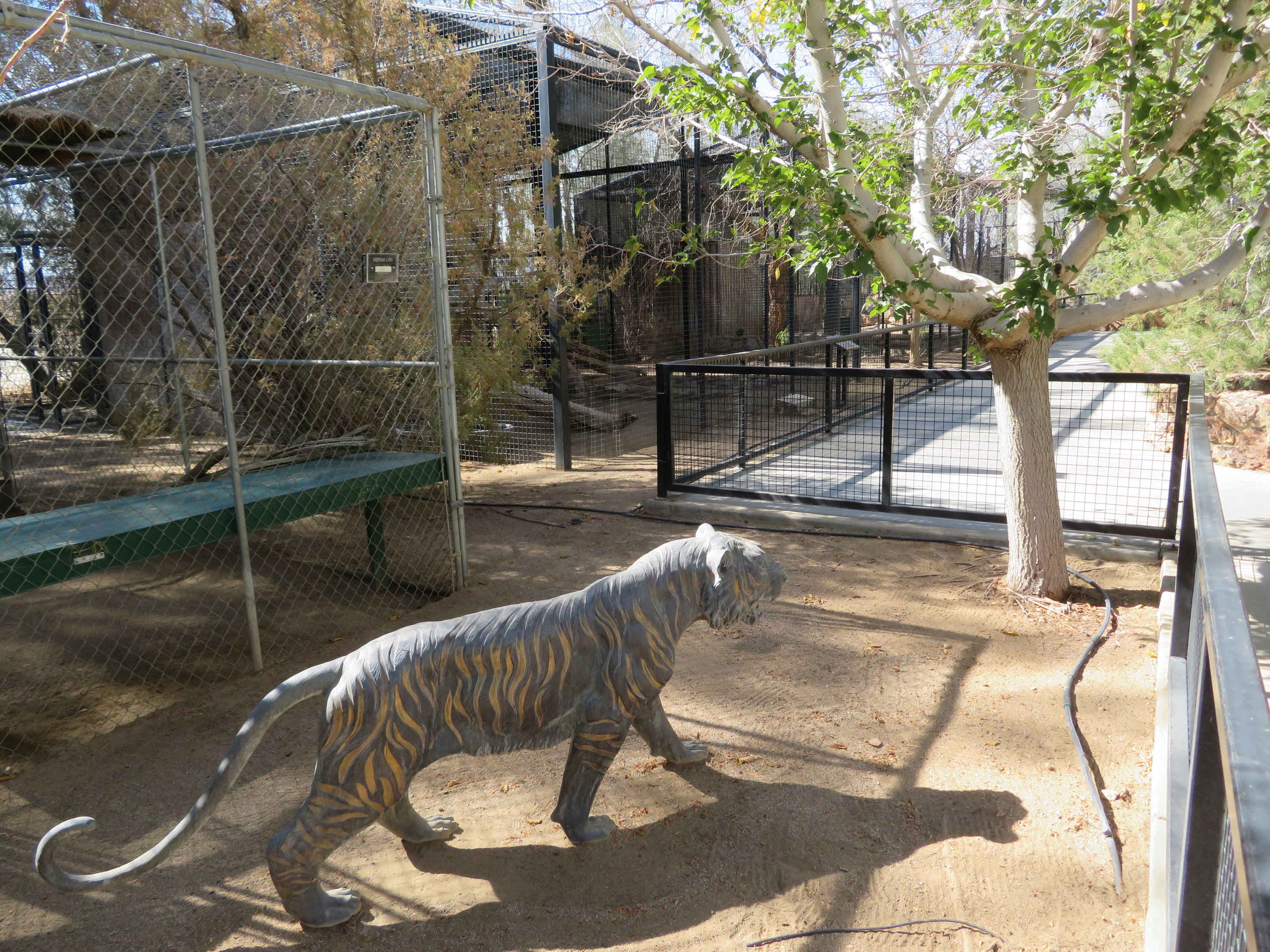 Tiger Statue & Pathway (2022)