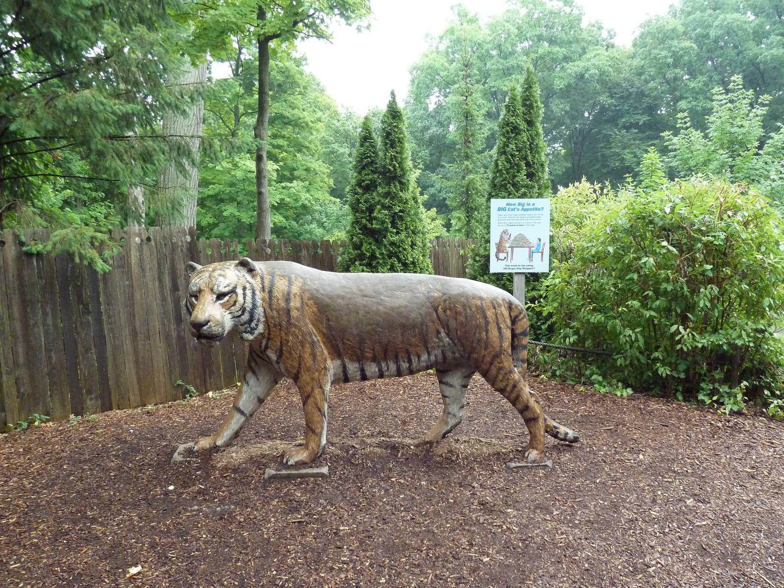 Tiger Statue