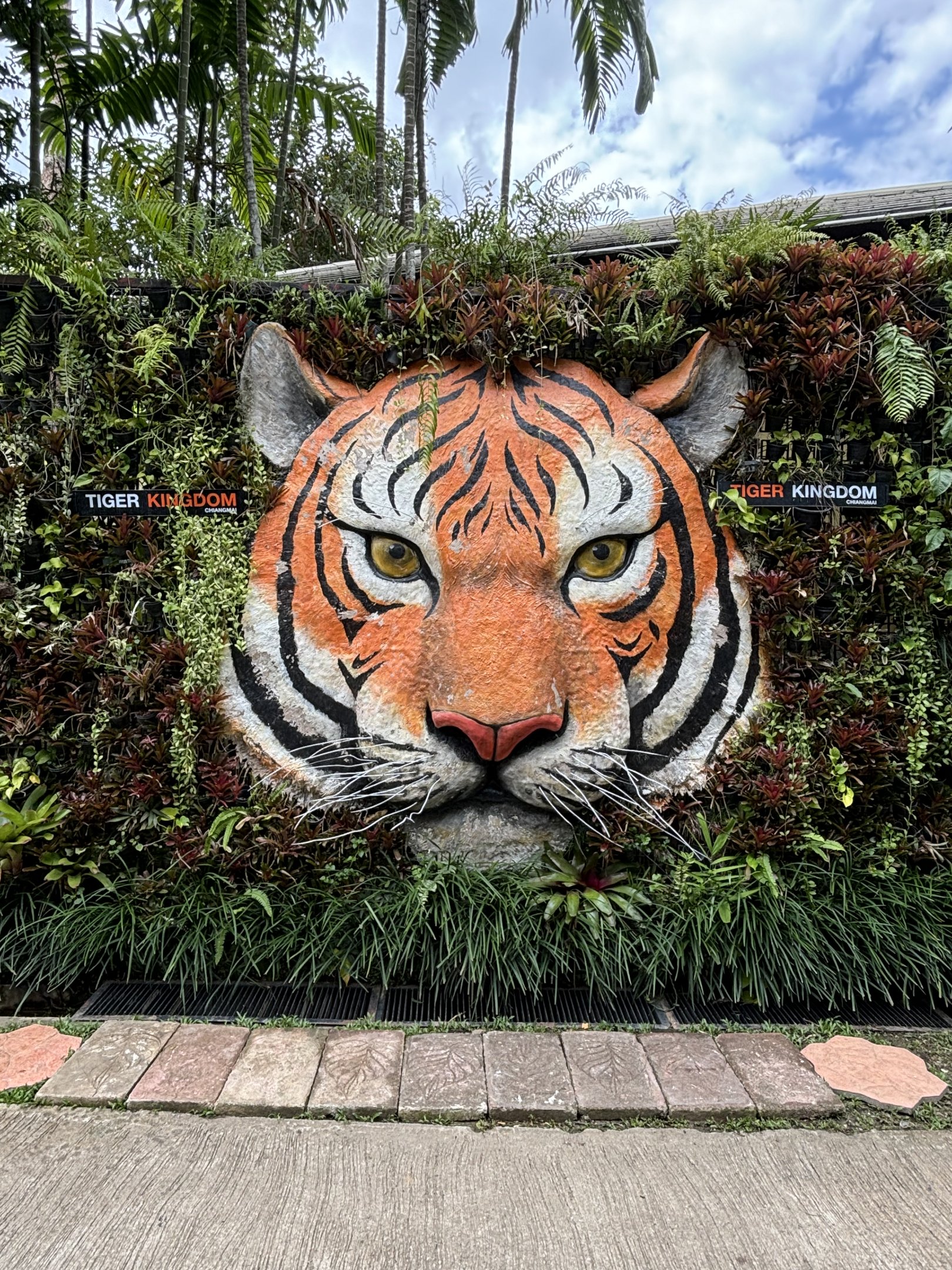Tiger Statue