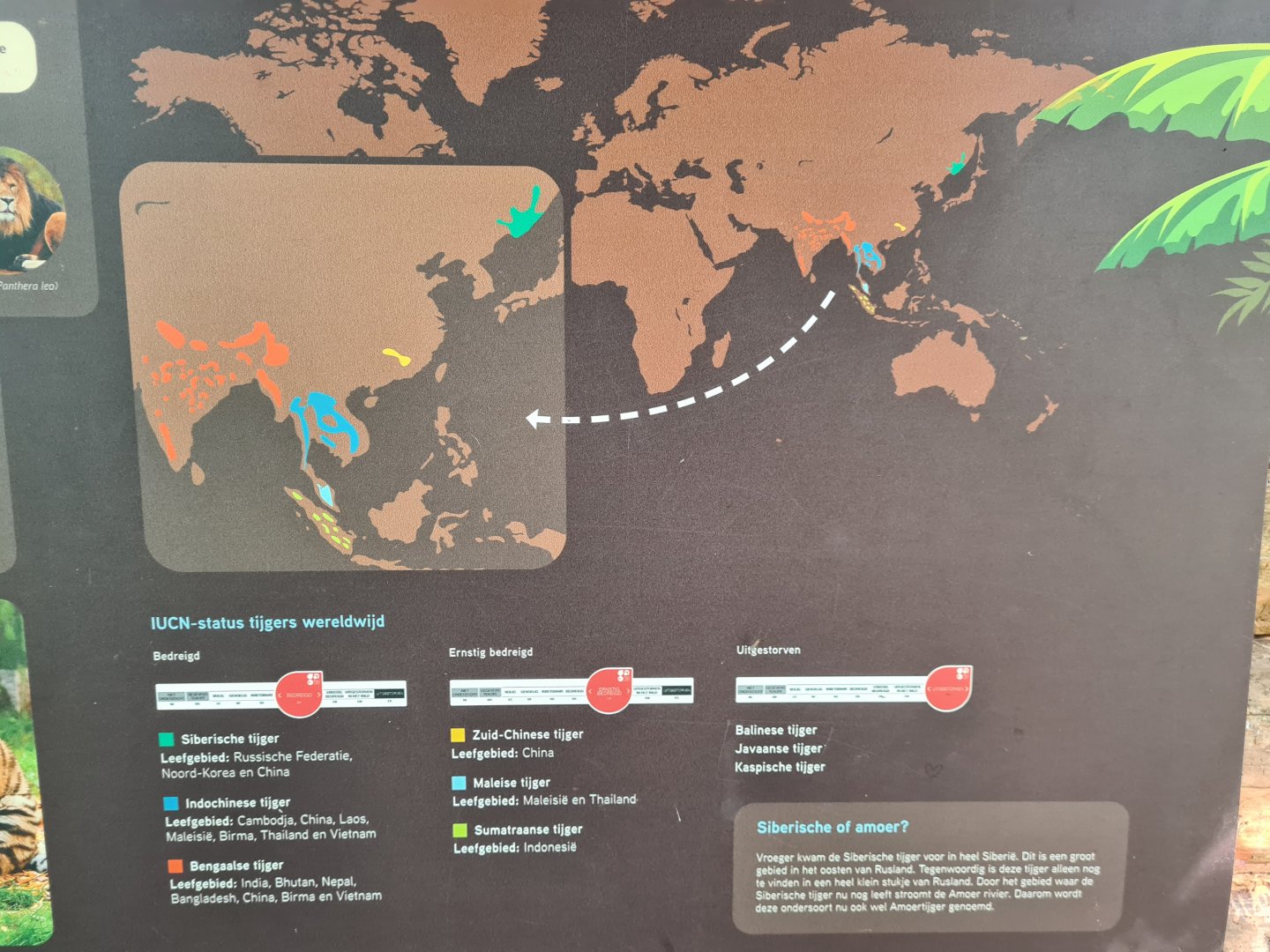 Tiger subspecies signage