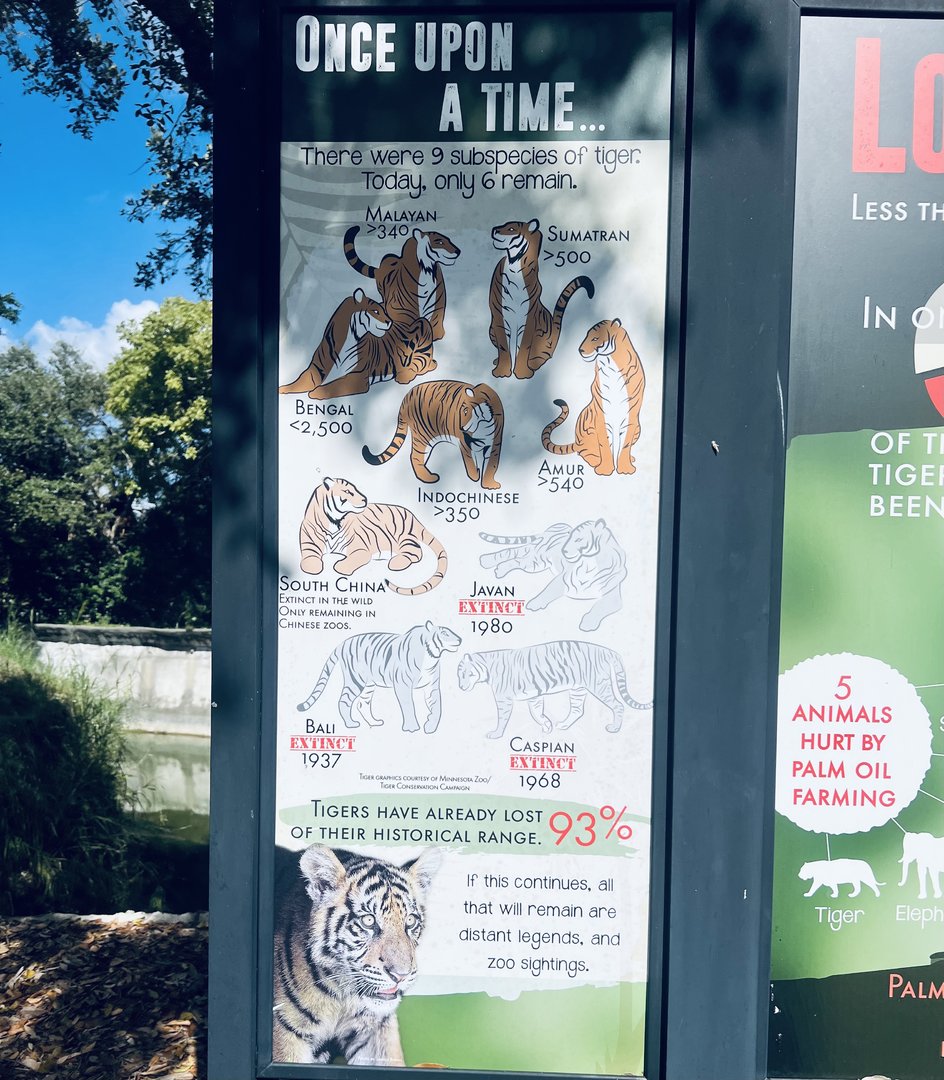 Tiger Subspecies Status Sign