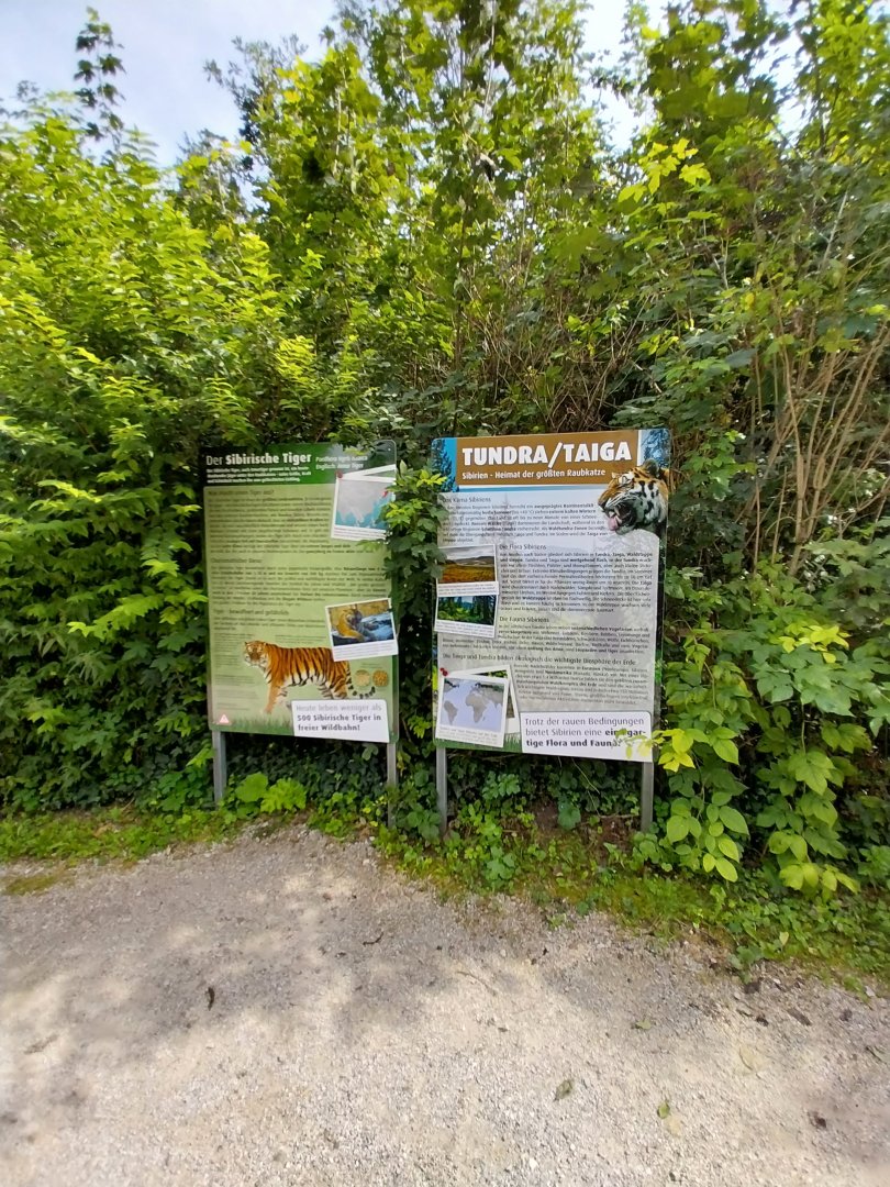 Tiger taiga info sign