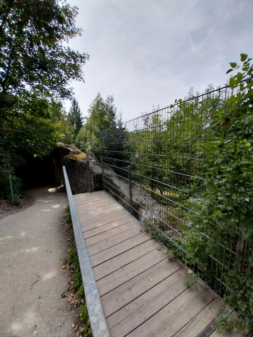 Tiger taiga viewing point