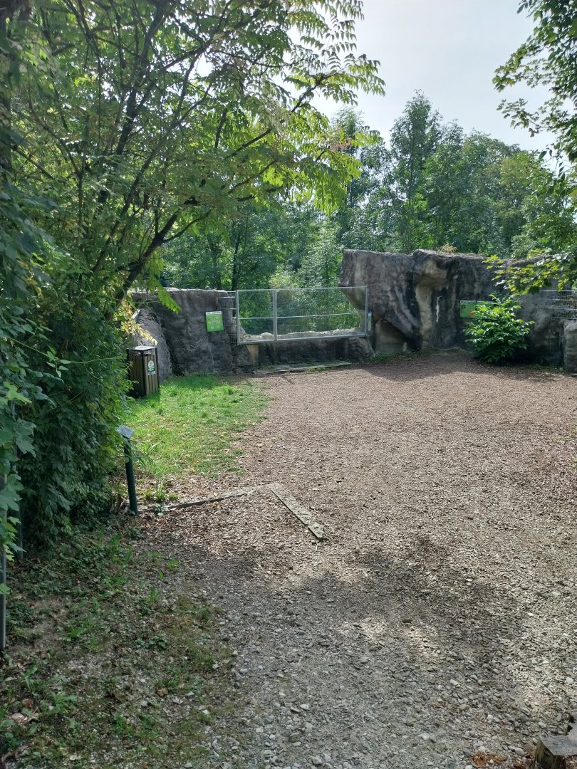 Tiger taiga - viewing point