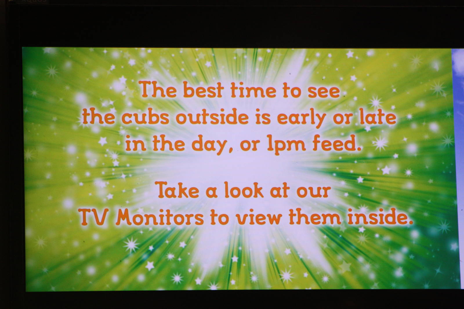 Tiger television screen, 27th October 2014