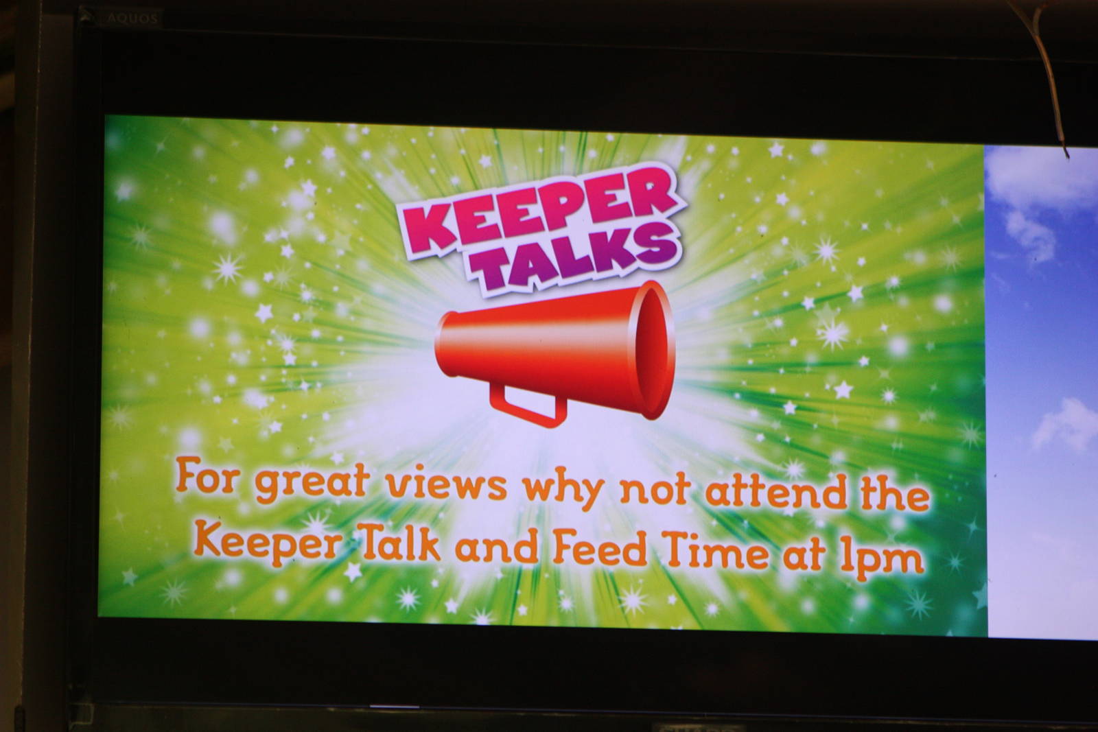 Tiger television screen, 27th October 2014