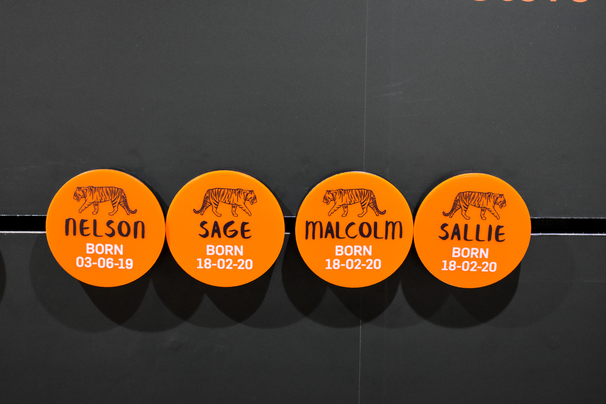 Tiger Temple - Example of Tiger Signage