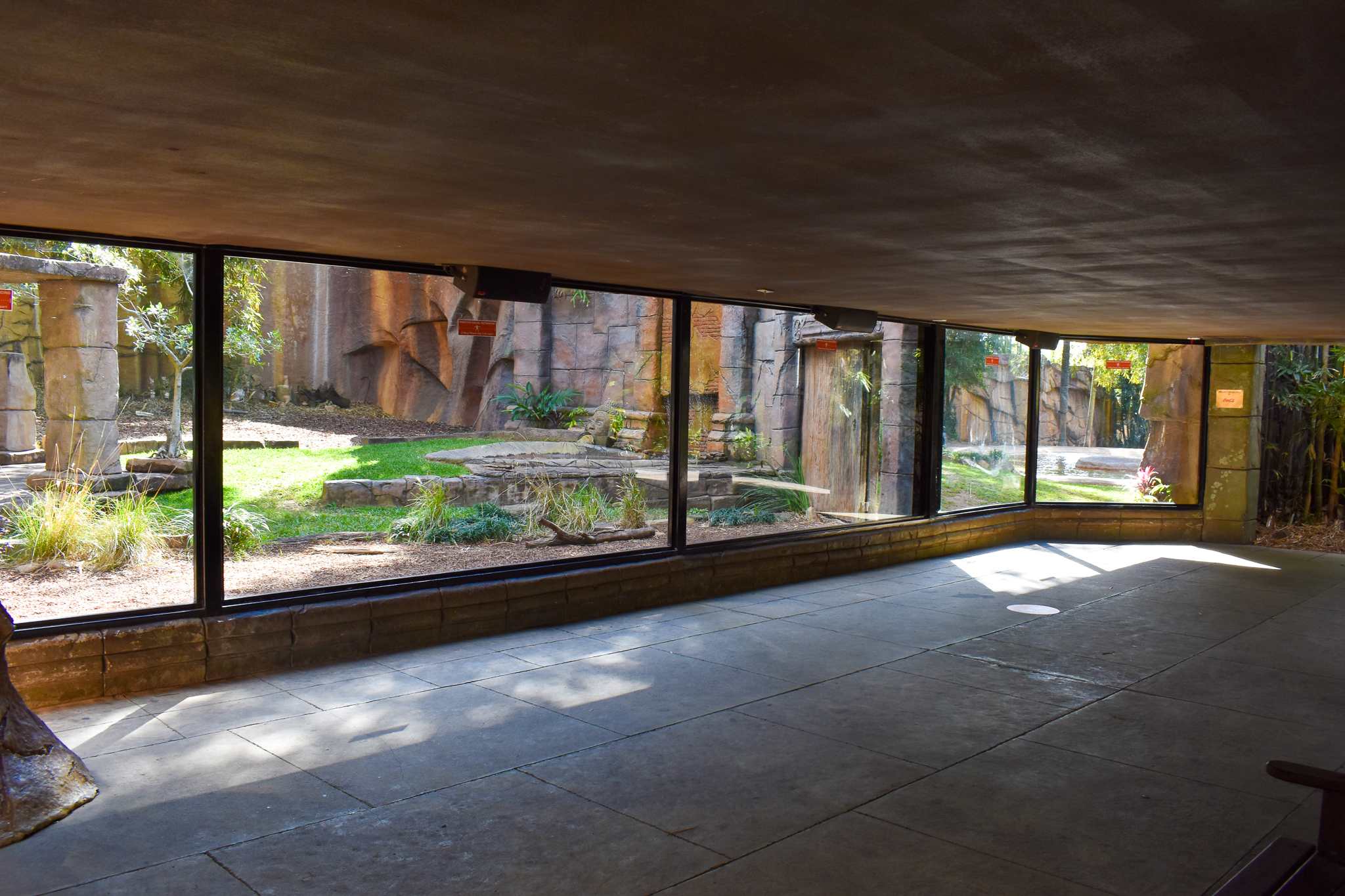 Tiger Temple - Main Viewing Area