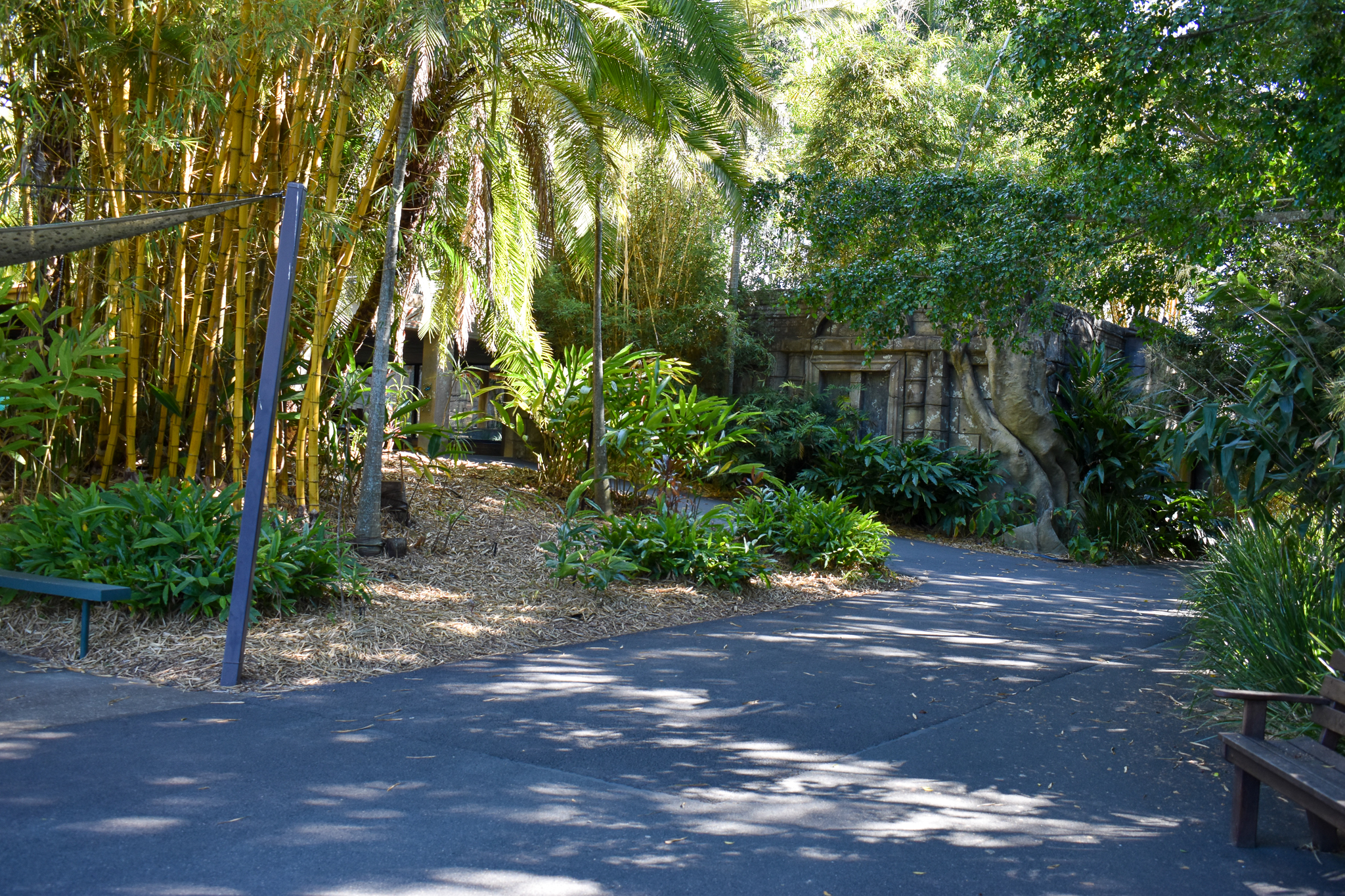Tiger Temple - Pathway