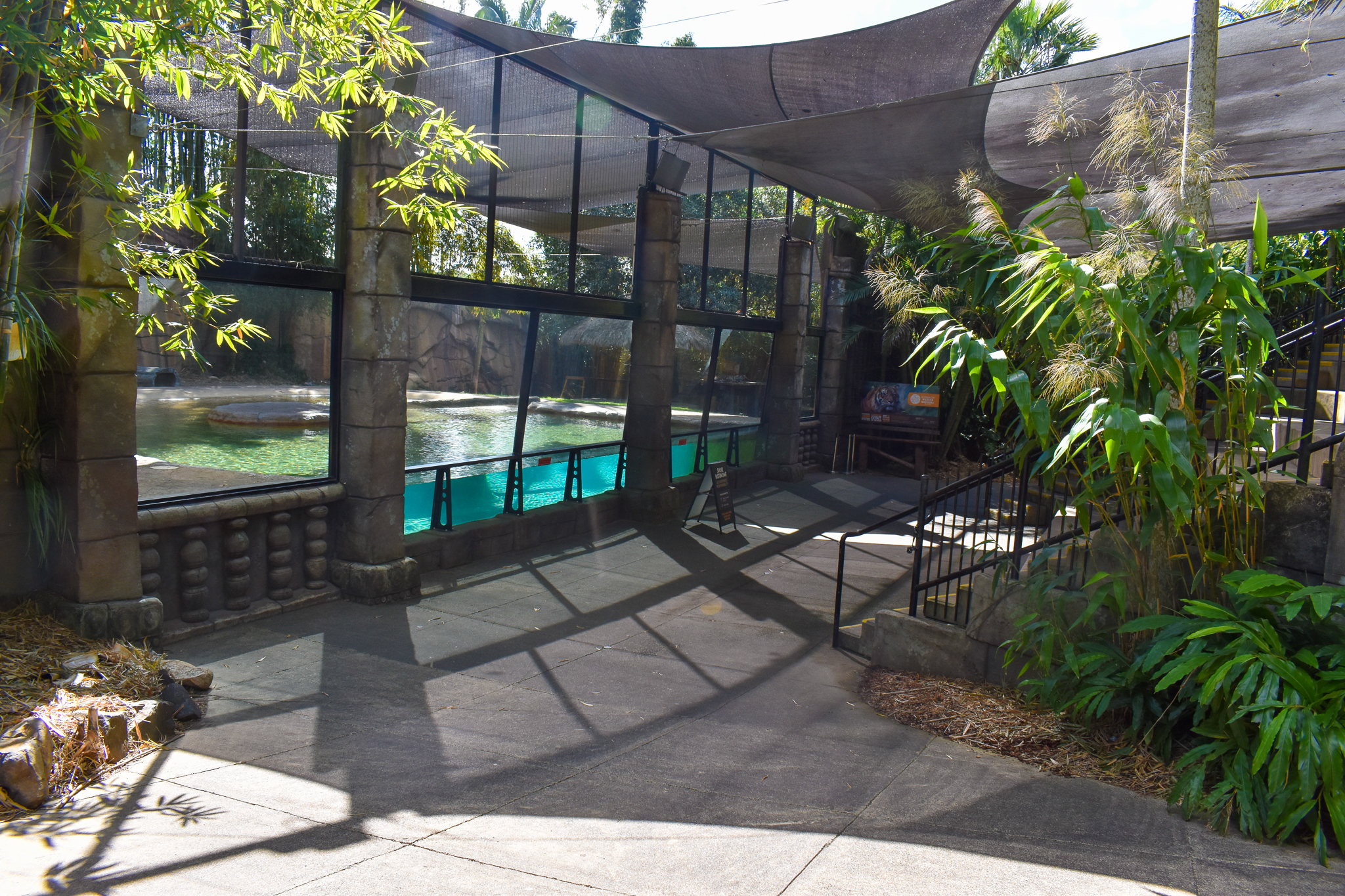 Tiger Temple - Underwater Viewing