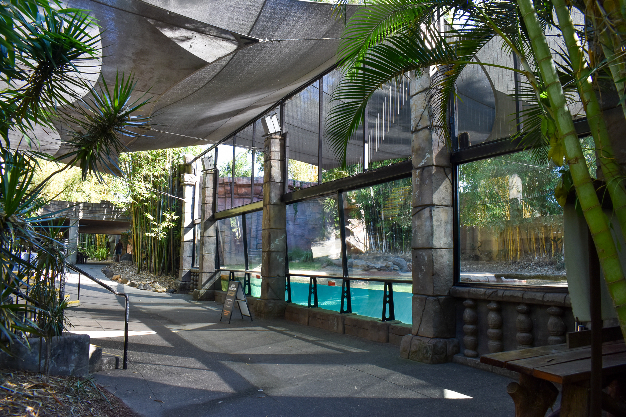 Tiger Temple - Underwater Viewing