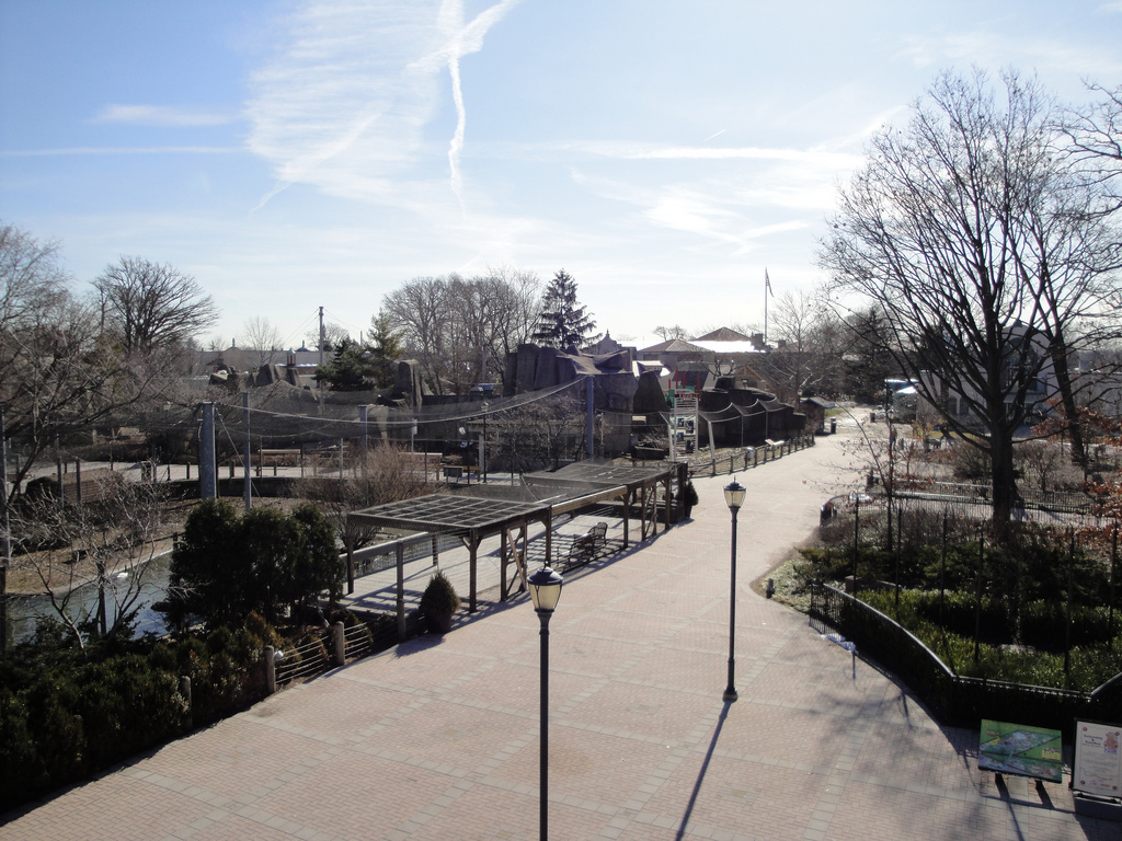 Tiger Terrace Overview