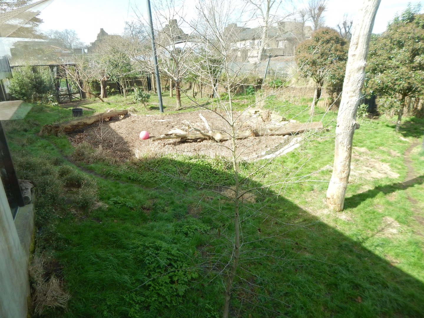 Tiger Territory 180322