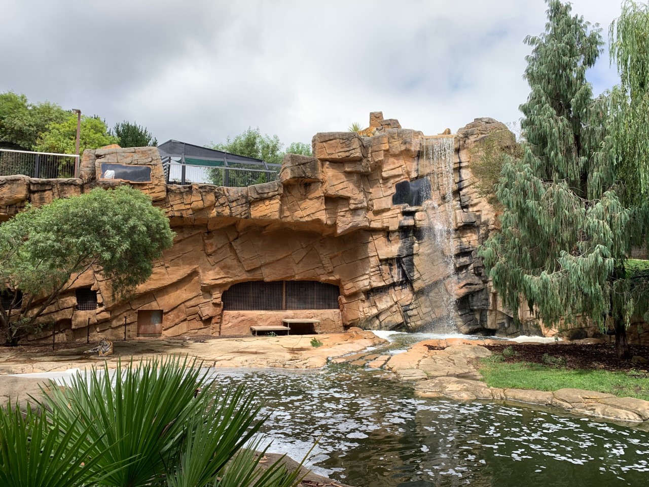 Tiger Territory Big Enclosure