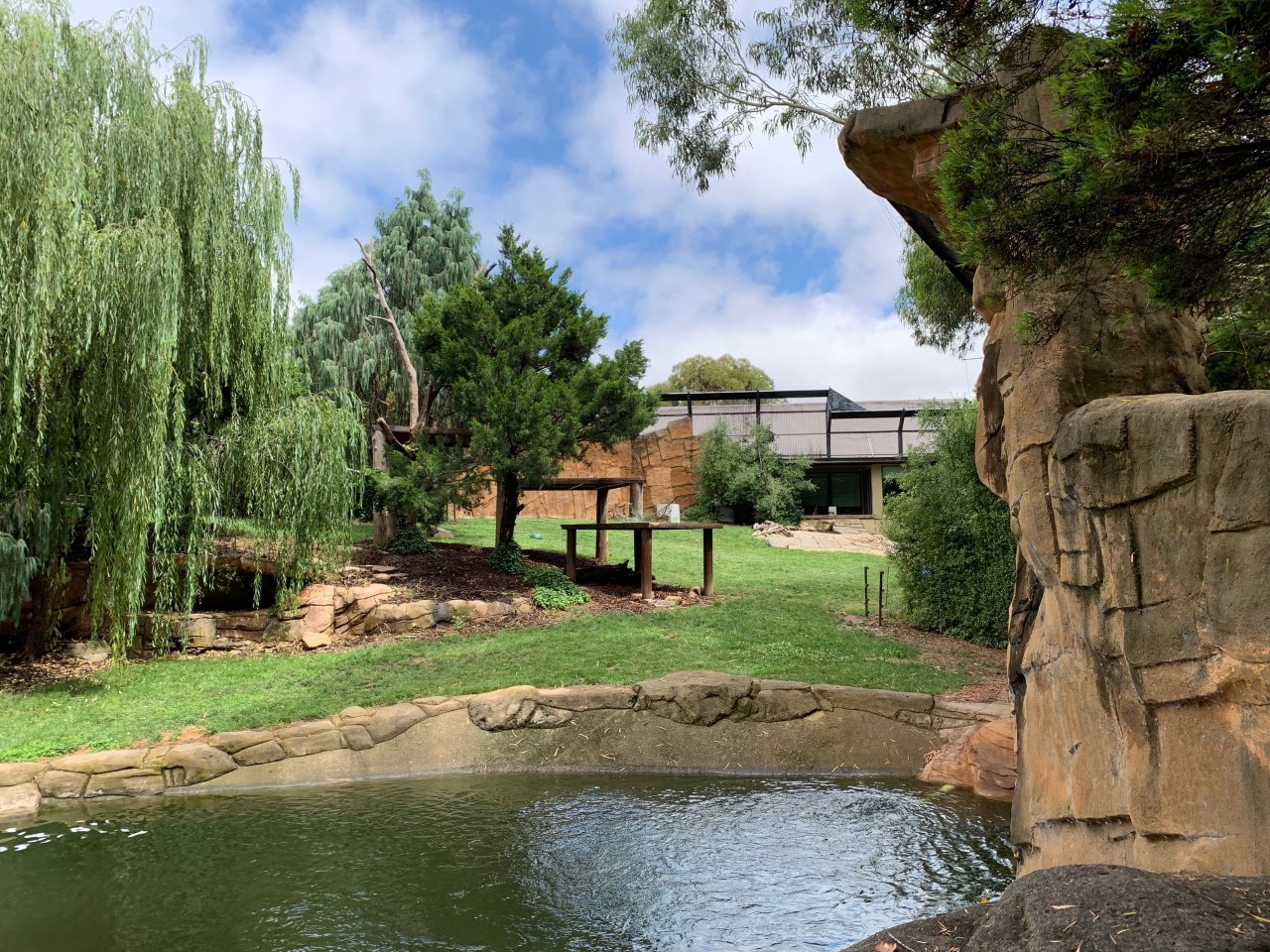 Tiger Territory Big Exhibit
