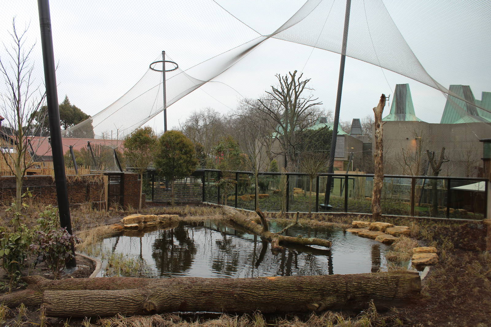 Tiger territory, March 2013