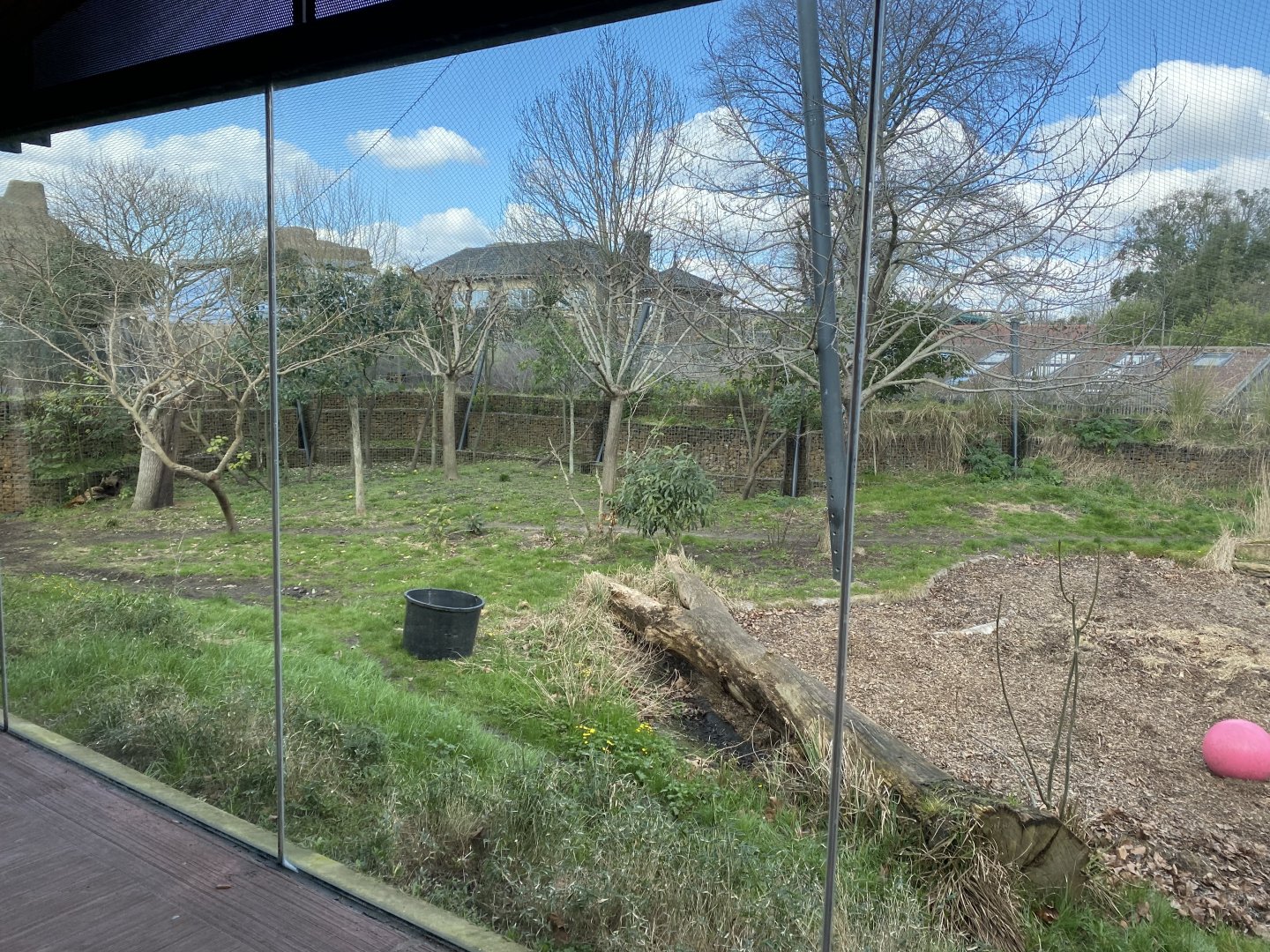 Tiger Territory - Sumatran tiger enclosure 180322