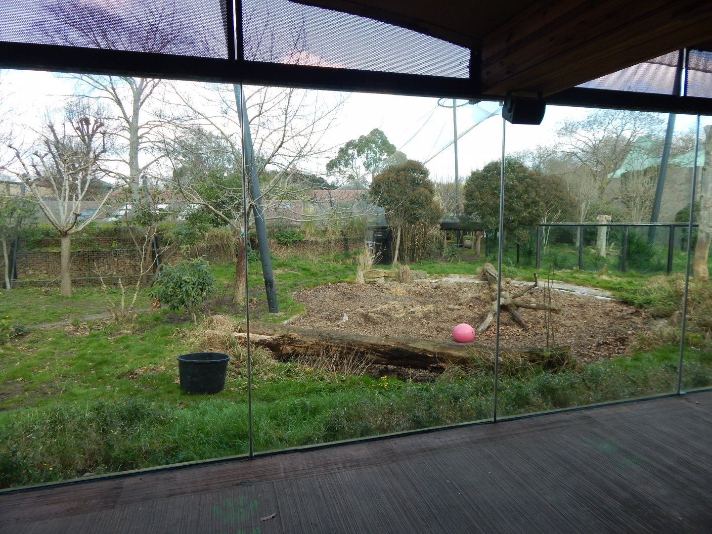 Tiger Territory - Sumatran tiger enclosure 180322
